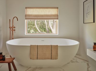 Raffrollo-Systeme, SG 2355, Colorama 2 Multicolour, Cedars, Ipswich, Suffolk, United Kingdom