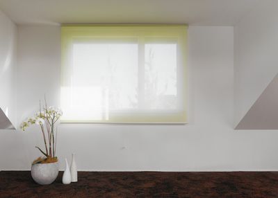 Rollo-Systeme, SG 4900, Colorama 1